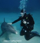 environmental issues